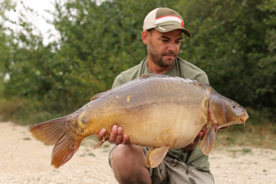 Roger Williams, 31lb, Tea Party, 18.8.18