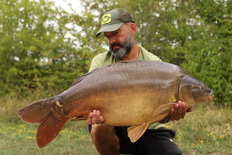 Lee Williams, 37lb 8oz, Bacheliers, 18.8.18
