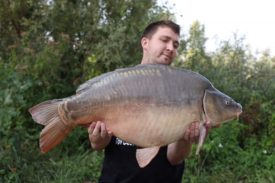 Steven Mead, 36lb 8oz, Turtle Corner, 25.8.18