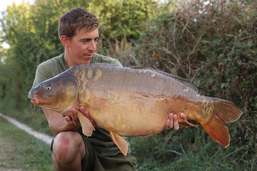 George Treadwell, 38lb 8oz, Shingles, 15.9.18