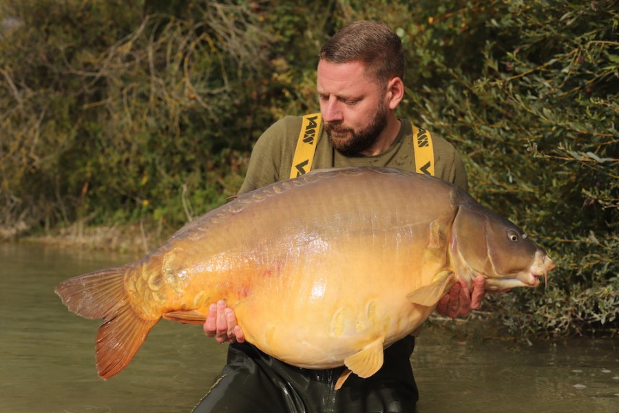 Mike Isted, 56lb 4oz, Decoy, 22.9.18