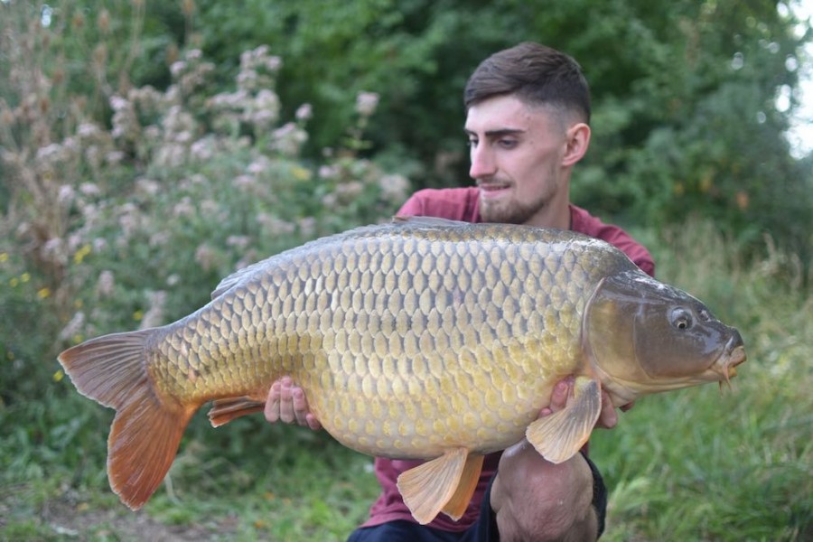 Billy Freame, 36lb, Turtle Corner, 8.9.18