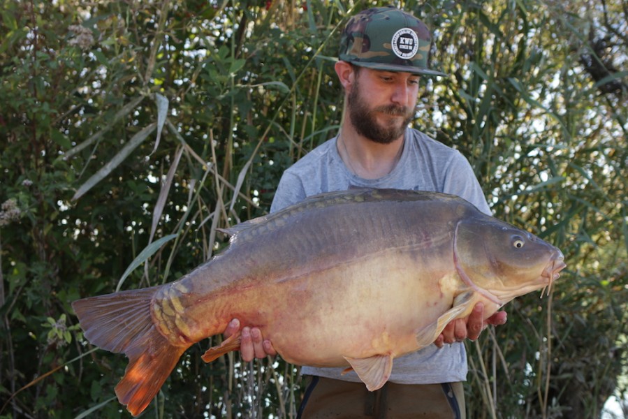 Daan Pikaerts, 37lb 8oz, Billy's, 8.9.18