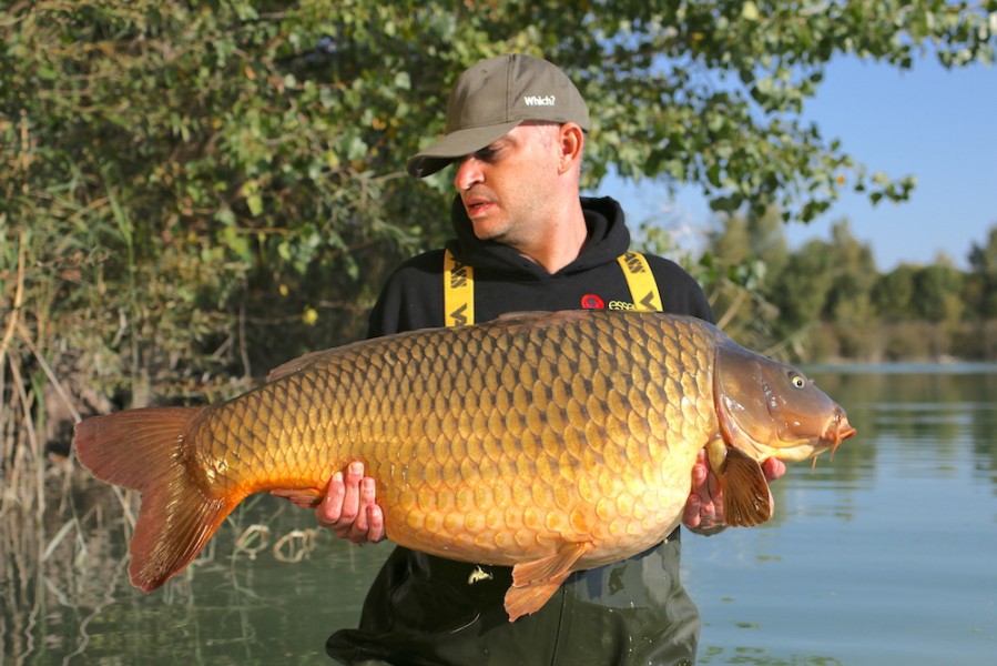 Roy Osborne, 50lb 4oz, The Poo, 29.9.18