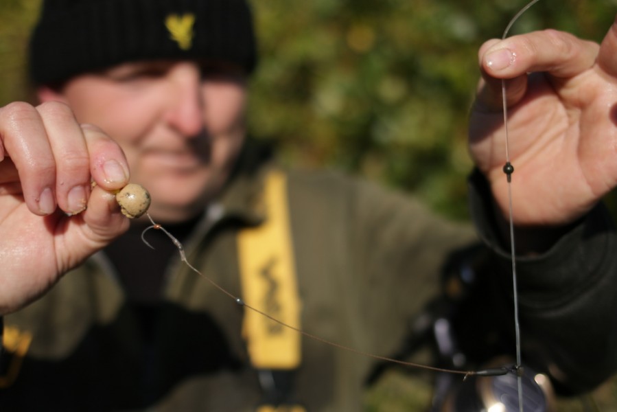 Steve used the Helisafe and Wafter Hookbaits