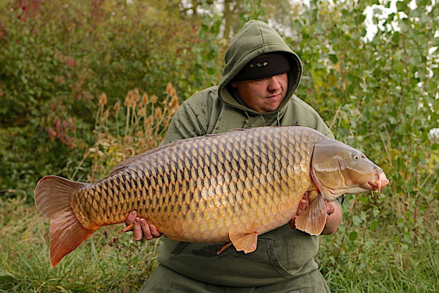 Stew McGregor, 48lb 8oz, Turtle Corner, 29.9.18