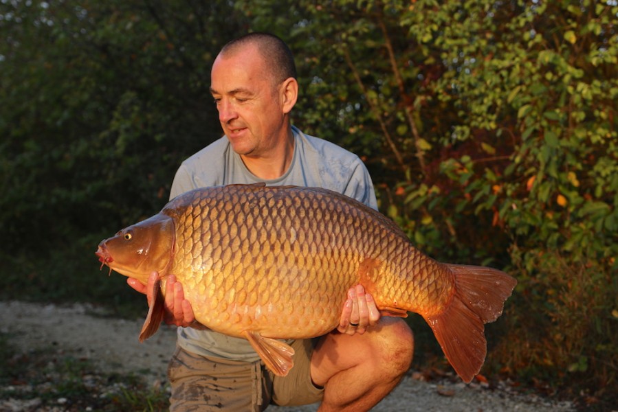 Dave Baker, 36lb 8oz, Decoy, 29.9.18
