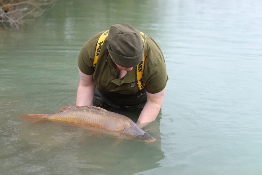 Back she goes...thanks for the memory.