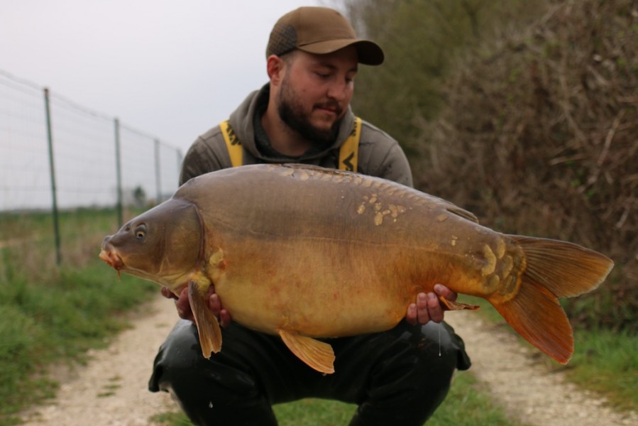 Scott Gillett, 34lb 12oz, Shingles, 6/4