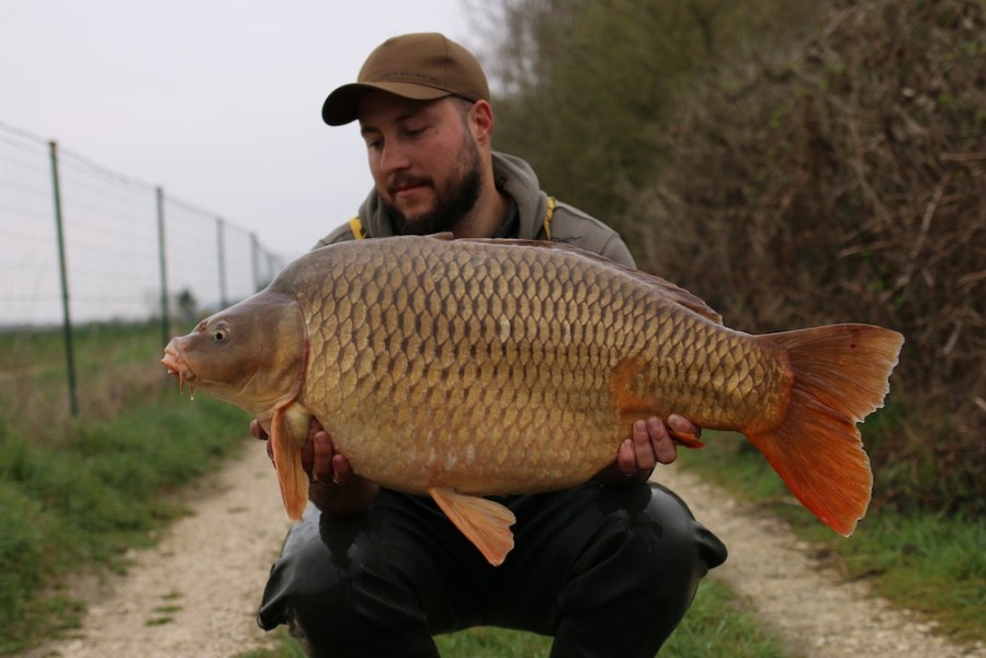 Scott Gillett, 31lb, Shingles, 6/4