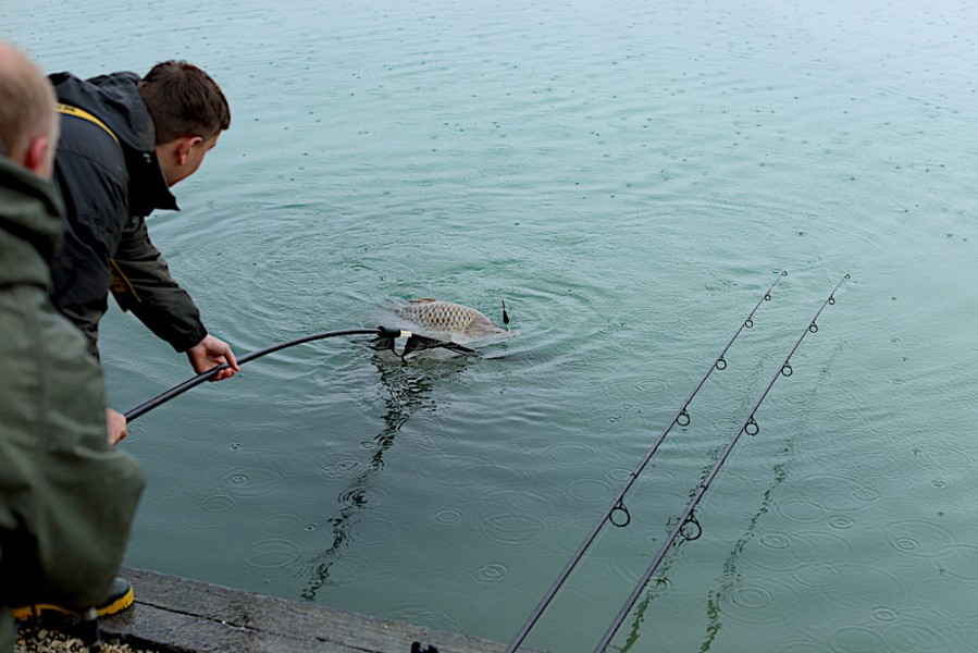 Another one safely in the net