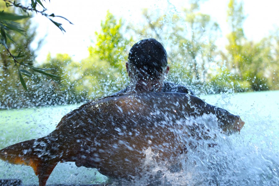 P.B Shots galore this week!!