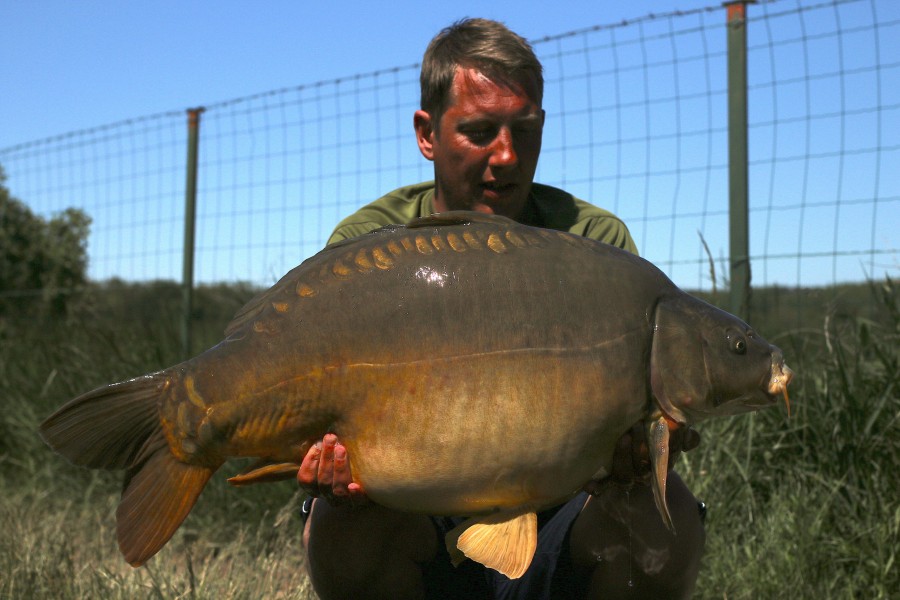 Shane Farrelly, 37lb 4oz, Shingles, 11/05/19