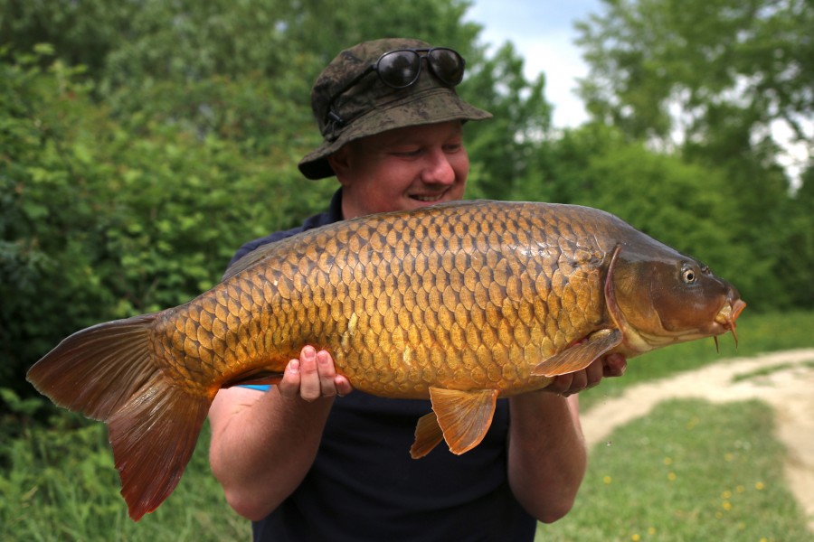 Steve Bartlett, 20lb, Bacheliers, 11/05/18