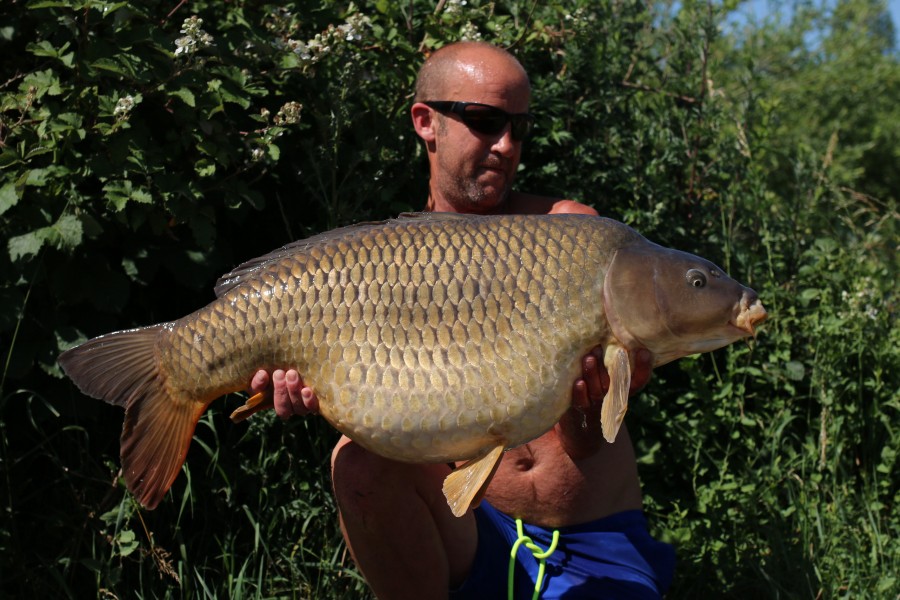 Nigel Matthews, 38lb 8oz, Shingles, 15/06/19