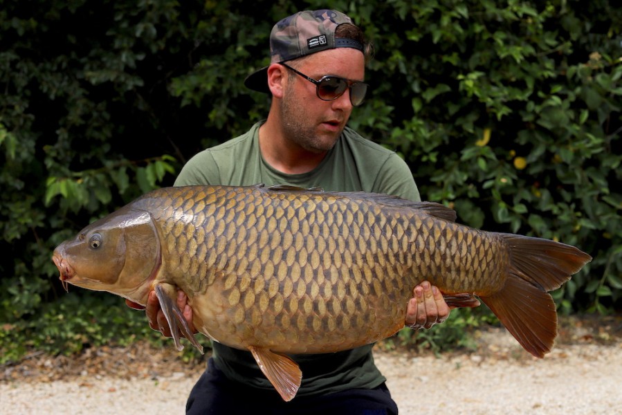 Chris Andrews, 43lb 8oz, Decoy, 29.6.19