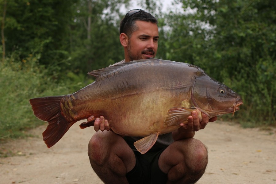 Russ, 36lb 8oz, Tea Party, 27/07/19