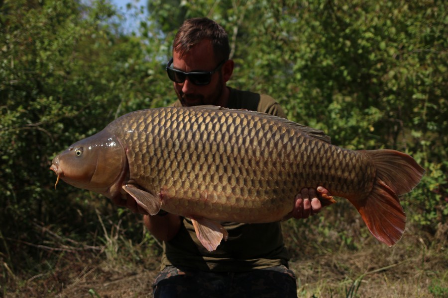 Adam Greenwood, 41lb 12oz, The Poo, 03/08/19