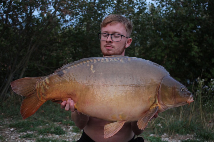 Jason Hewitt, 36lb 12oz, Tea Party, 10/08/19