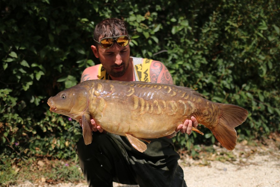 Mike Peacock, 23lb 4oz, Decoy, 10/08/19