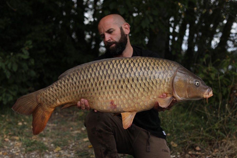 Scott Larman, 33lb 12oz, Tea Party, 31/08/19