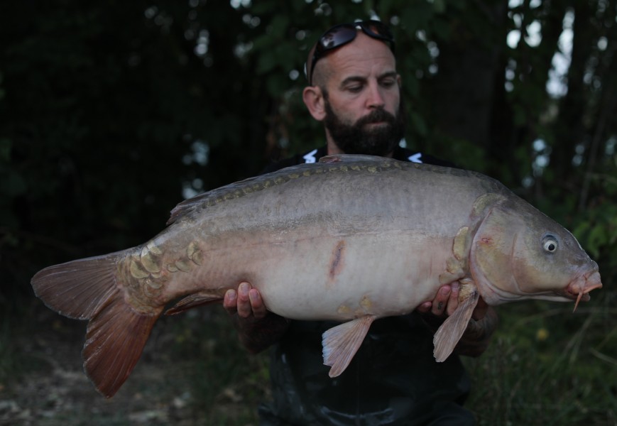 Scott Larman, 25lb 12oz, Tea Party, 31/08/19