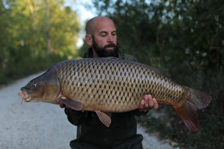 Scott Larman, 32lb 4oz, Tea Party, 31/08/19