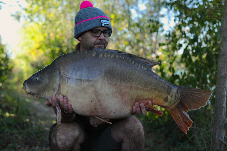 Simon Jackson, 37lb 4oz, Eastwoods, 31/08/19