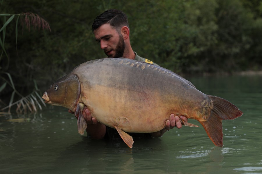 Ricky King, 38lb 8oz, Beach, 31/08/19