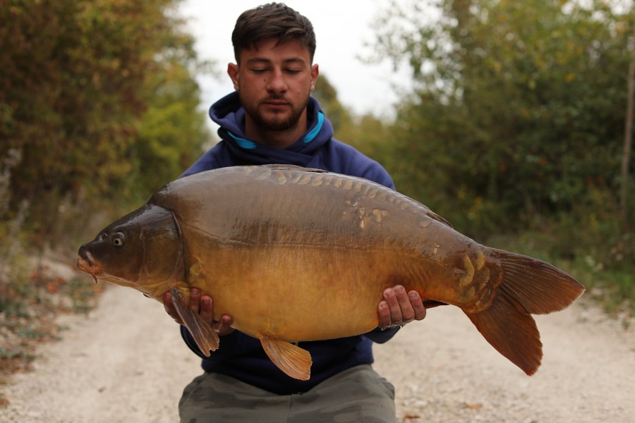 Adam Harsum, 36lb 8oz, Birches, 07/09/2019