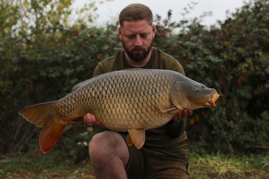 Mike Isted, 23lb 12oz, Shingles, 21/09/19