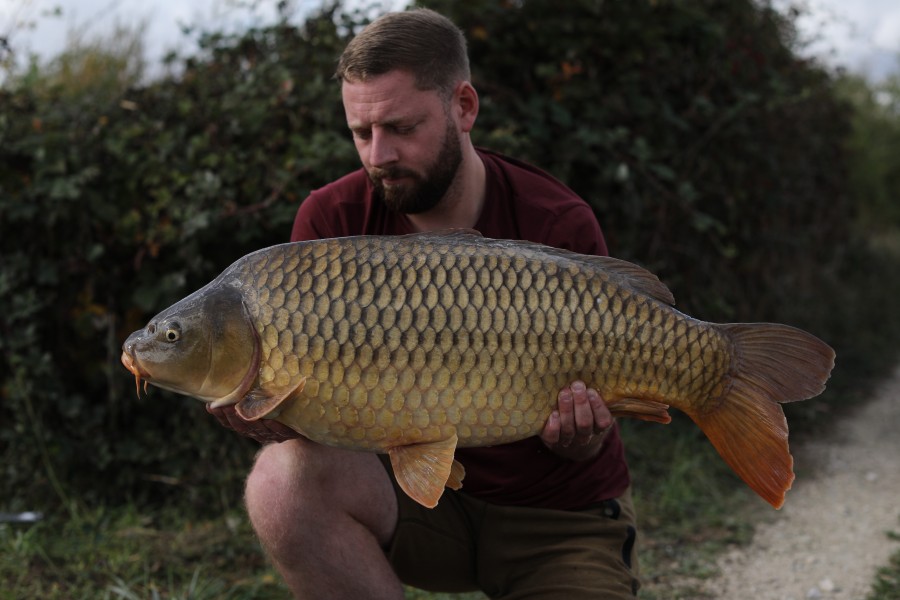 Mike Isted, 28lb 8oz, Shingles, 21/09/19