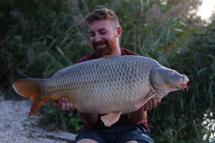 Oscar Thornton, 28lb 4oz, Beach, 21/09/2019