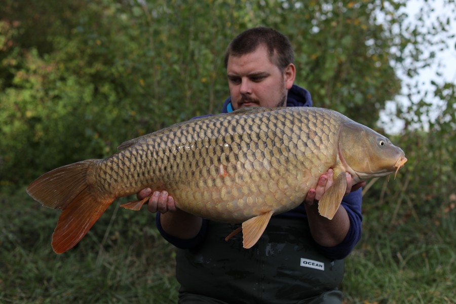 Michael O'Regan, 33lb 4oz, Turtles Corner, 28/09/19