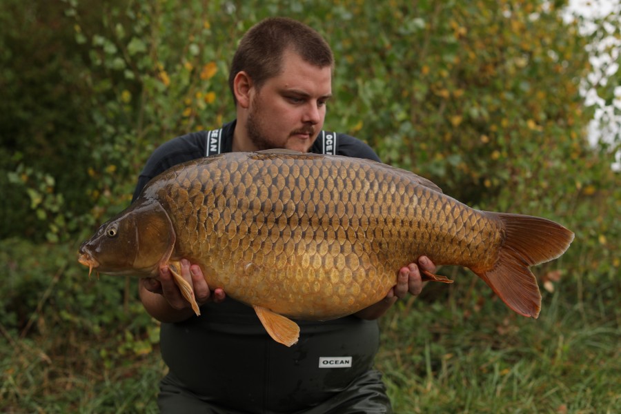 Michael O'Regan, 33lb 12oz, Turtles Corner, 28/09/19