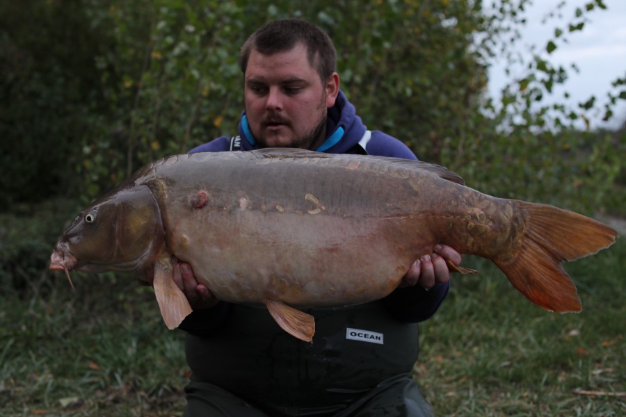 Michael O'Regan, 37lb 4oz, Turtles Corner, 28/09/19