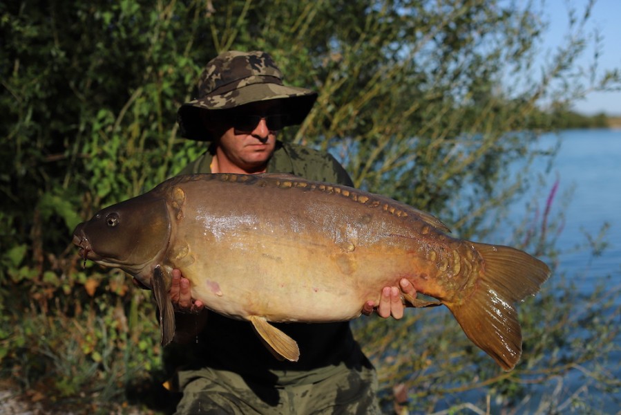 Dean Bradley, 37lb 8oz, Decoy, 11.07.20