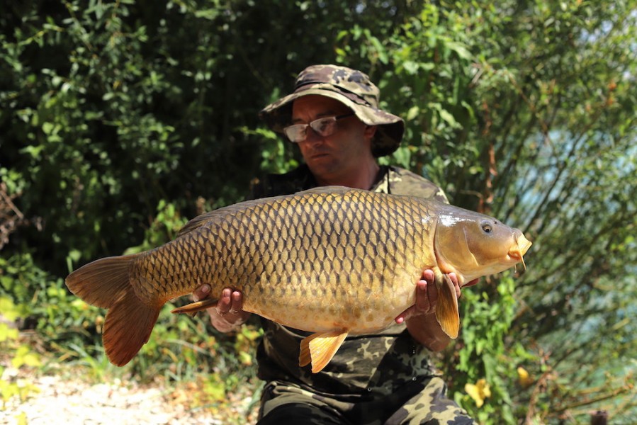 Dean Bradley, 26lb 8oz, Decoy, 11.07.20