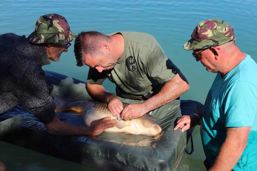 The boys really looked after the fish.