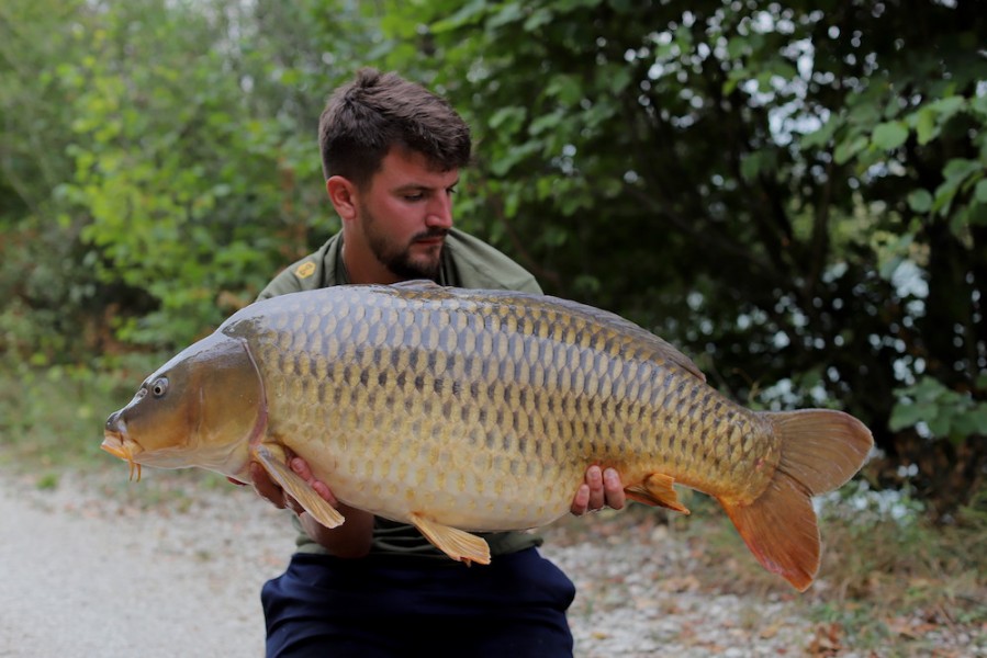 Adam Curry, 50lb, Decoy, 15.08.20