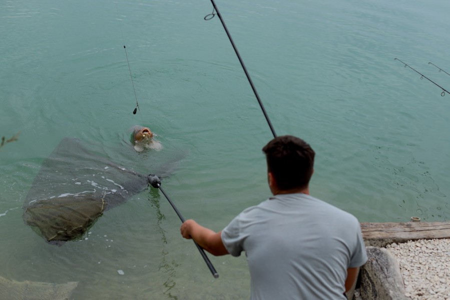 Get in that net.