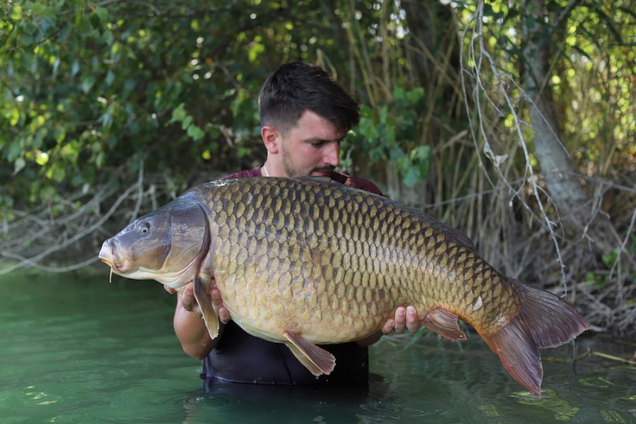 Adam Curry, 45lb, Decoy, 15.08.20