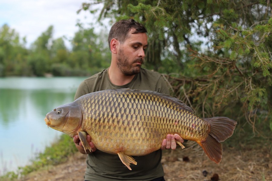 Mark Cooper, 31lb, Beach, 15.08.20