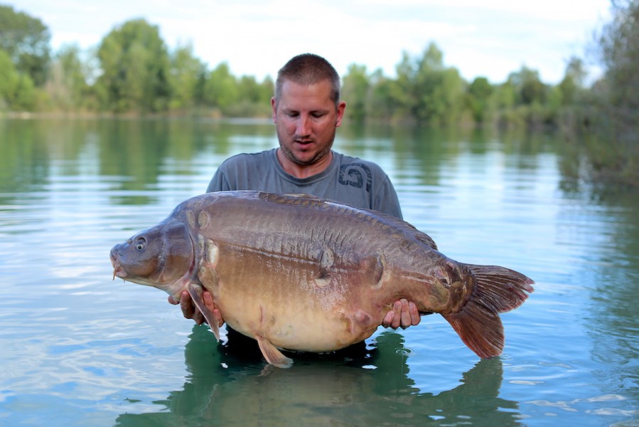 Steve Bastiani, 51lb 4oz, Shingles, 15.08.20