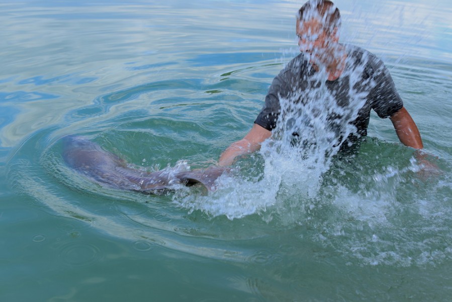 Steve releasing Twin Scale back to the depths.