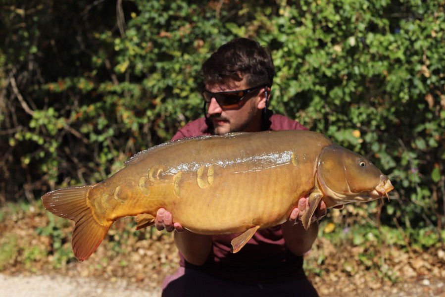 Adam Curry, 27lb 4oz, Decoy, 15.08.20