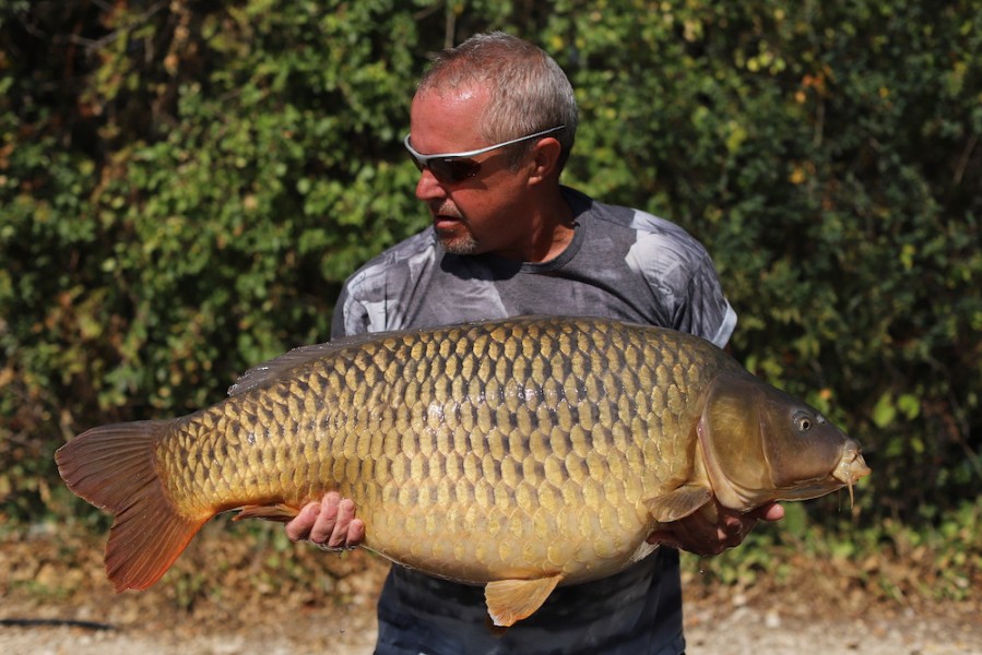 Mick Norris, 47lb 8oz, Decoy, 05.09.20