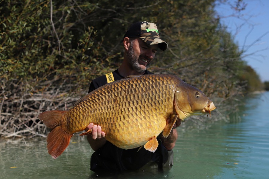 Andy Lewis - 42lb - Decoy - 21/09/2020