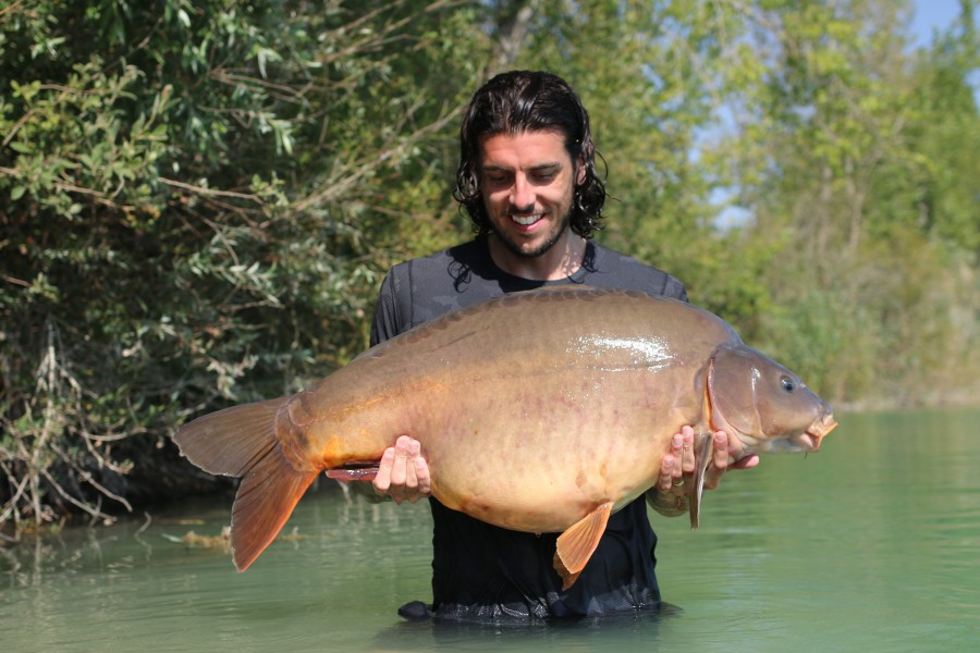 "Diamond Geezer" tipping the scales at 43lb 8oz. 1 of a 4 fish hit for Luke...........