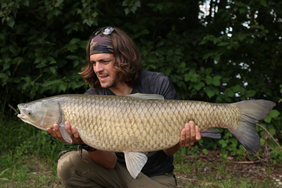 How about a 37lb 12oz Grassy, what a beast !!.........